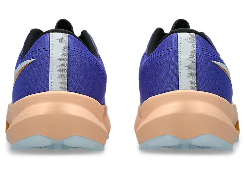 �A�V�b�N�X�E�A�V�b�N�X �@Fuji Lite 6   �t�W���C�g6