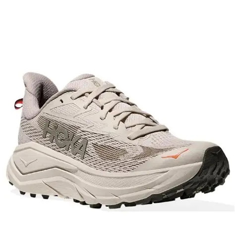 �z�J���f�B�X�EHOKA   �`�������W���[ATR8 ���f�B�X  SPHL