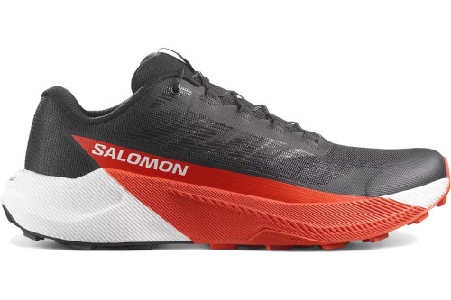 �T�������@PULSAR    �p���T�[