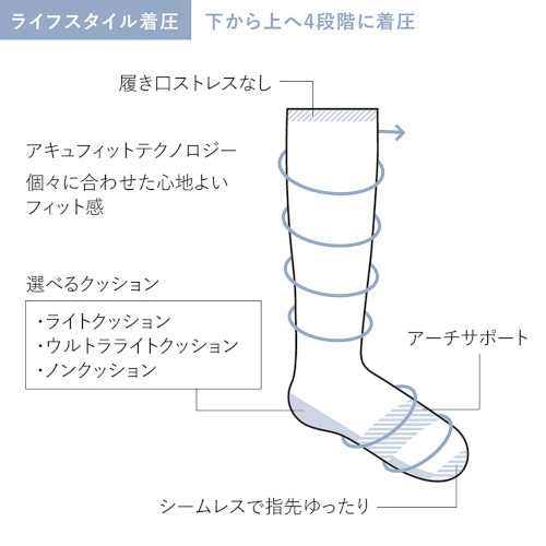 \bNXE\bNEF@RvbV\bNX@ELEVATION Y